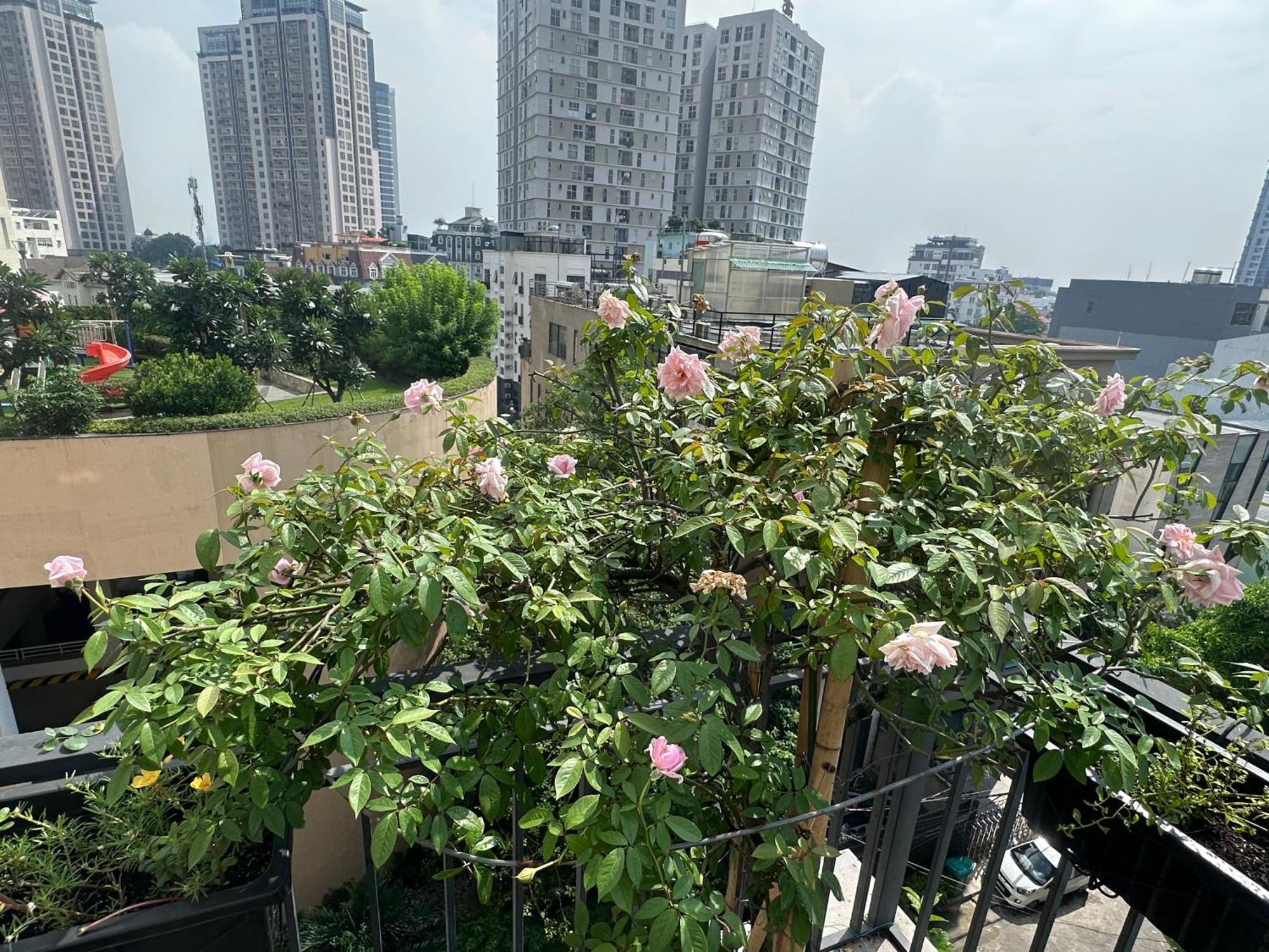 Homey Apartment Ho-Chi-Minh-Stadt Exterior foto